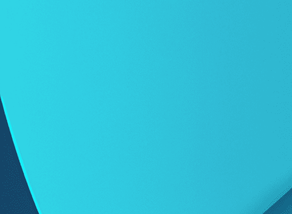 Editing and Proofreading Make Animal Care Guides More Effective